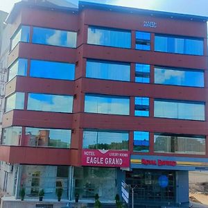 Hotel Eagle Grand